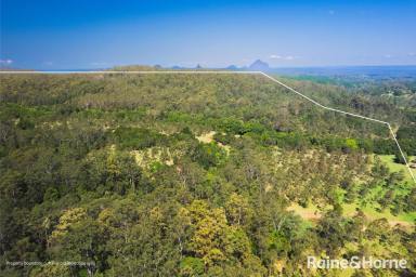 Farm For Sale - QLD - Crohamhurst - 4519 - A sizeable unique rural land holding with creek access, rural grazing ability and conservation land values  (Image 2)