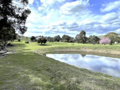 Farm For Sale - NSW - Gundagai - 2722 - Peace, tranquility and charm!  (Image 2)