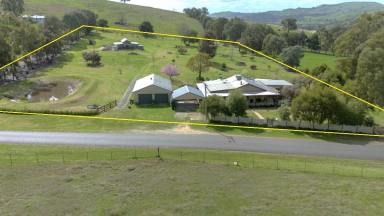 Farm For Sale - NSW - Gundagai - 2722 - Peace, tranquility and charm!  (Image 2)