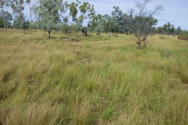 Farm For Sale - QLD - Wyandra - 4489 - Claverton - Historic Productive Warrego River Property - Only 2 Owners in 160 Years!  (Image 2)