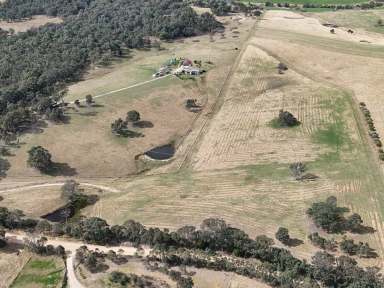 Farm For Sale - NSW - Candelo - 2550 - 17 ACRES - BLANK CANVAS  (Image 2)