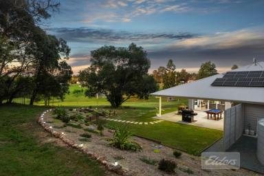 Farm For Sale - QLD - Pie Creek - 4570 - Luxurious Hamptons Style Retreat with Stunning Creek Frontage in Pie Creek  (Image 2)