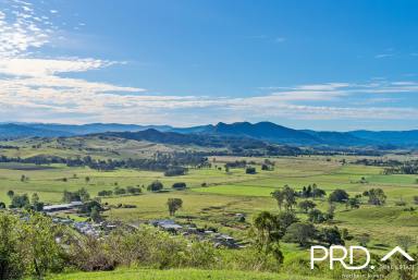 Farm For Sale - NSW - Kyogle - 2474 - 50+ Acres in Town  (Image 2)