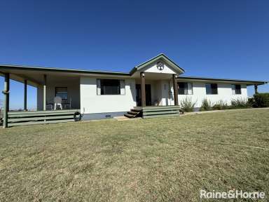 Farm For Sale - QLD - Kingaroy - 4610 - Price Reduction - 3.7acres  (Image 2)