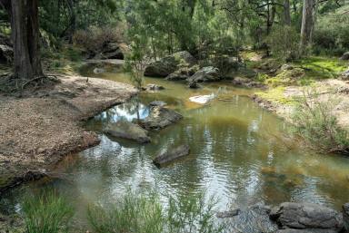 Farm For Sale - NSW - Bungonia - 2580 - 770 ACRES, SHEEP GRAZING COUNTRY, RUNNING CREEK, ROLLING COUNTRYSIDE, BACKS ONTO NATIONAL PARKLAND  (Image 2)