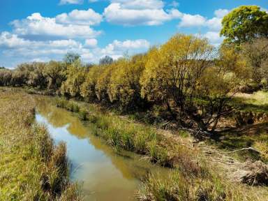 Farm For Sale - NSW - Bungonia - 2580 - 770 ACRES, 8 MEG PUMPING LICENCE, GRAZING COUNTRY, PERMANENT RUNNING CREEK, ROLLING HILLS, VIEWS FOREVER.  (Image 2)