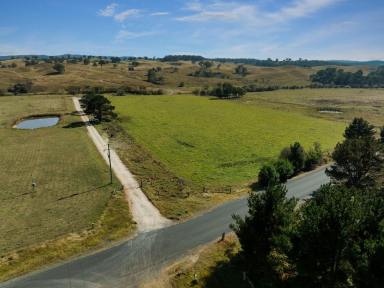 Farm For Sale - NSW - Bungonia - 2580 - 770 ACRES, SHEEP GRAZING COUNTRY, RUNNING CREEK, ROLLING COUNTRYSIDE, BACKS ONTO NATIONAL PARKLAND  (Image 2)