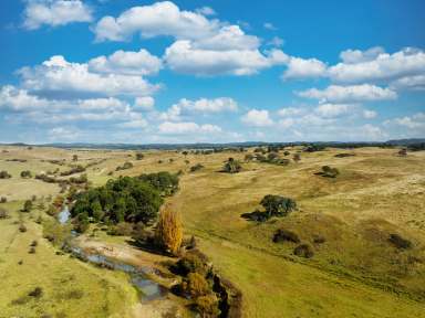 Farm For Sale - NSW - Bungonia - 2580 - 770 ACRES, 8 MEG PUMPING LICENCE, GRAZING COUNTRY, PERMANENT RUNNING CREEK, ROLLING HILLS, VIEWS FOREVER.  (Image 2)