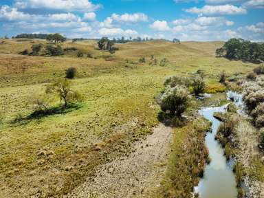 Farm For Sale - NSW - Bungonia - 2580 - 770 ACRES, 8 MEG PUMPING LICENCE, GRAZING COUNTRY, PERMANENT RUNNING CREEK, ROLLING HILLS, VIEWS FOREVER.  (Image 2)