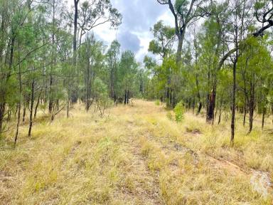 Farm For Sale - NSW - Jacks Creek - 2390 - TIMBERED BLOCK: ALMOST 1000 ACRES - PERFECT WEEKENDER /HUNTING/GRAZING BLOCK!  (Image 2)