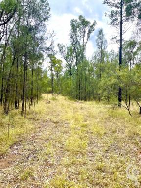 Farm For Sale - NSW - Jacks Creek - 2390 - TIMBERED BLOCK: ALMOST 1000 ACRES - PERFECT WEEKENDER /HUNTING/GRAZING BLOCK!  (Image 2)