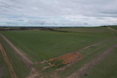 Farm For Sale - WA - Dangin - 6383 - Prime Agricultural Land on Quairading South Rd, Dangin   646ha(1595acres)  (Image 2)