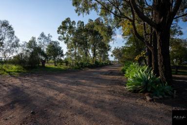 Farm For Sale - NSW - Gunnedah - 2380 - PRIVATE OASIS JUST MINTUES TO TOWN WITH SUBDIVISION POTENTIAL  (Image 2)