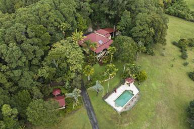 Farm For Sale - NSW - Eviron - 2484 - STYLE & GRACE PERSONIFIED IN THIS MAGNIFICENT QUEENSLANDER  (Image 2)