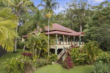 Farm For Sale - NSW - Eviron - 2484 - "Wangaree" - Magnificent Queenslander on 33 acres  (Image 2)