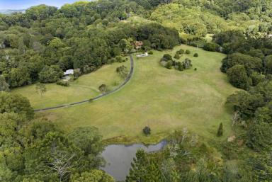 Farm For Sale - NSW - Eviron - 2484 - STYLE & GRACE PERSONIFIED IN THIS MAGNIFICENT QUEENSLANDER  (Image 2)