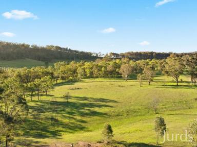 Farm For Sale - NSW - Lovedale - 2325 - Rothbury Escape - A wine Country Lifestyle Investment  (Image 2)