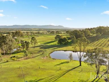 Farm For Sale - NSW - Lovedale - 2325 - Rothbury Escape - A wine Country Lifestyle Investment  (Image 2)