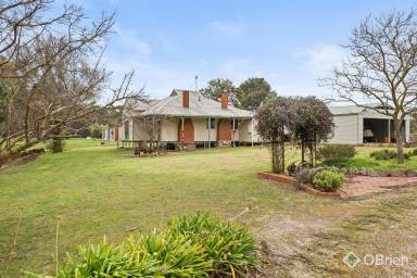 Farm For Sale - VIC - Wangandary - 3678 - Two Dwellings on 33 Acres in the Majestic Warby Ovens National Park  (Image 2)