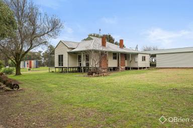 Farm For Sale - VIC - Wangandary - 3678 - Two Dwellings on 33 Acres in the Majestic Warby Ovens National Park  (Image 2)