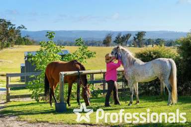 Farm For Sale - VIC - Port Albert - 3971 - Stunning Family/Executive Residence. Ideal for Horse Enthusiasts. PRICE ADJUSTED TO SELL! NEW VIDEO PRESENTATION  (Image 2)