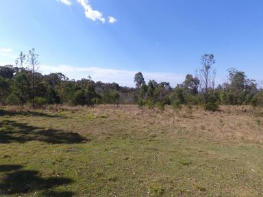 Farm For Sale - NSW - Drake - 2469 - 445 ACRES - PLENTIFUL FAUNA AND FLORA  (Image 2)