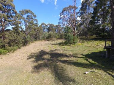 Farm For Sale - NSW - Drake - 2469 - 445 ACRES - PLENTIFUL FAUNA AND FLORA  (Image 2)