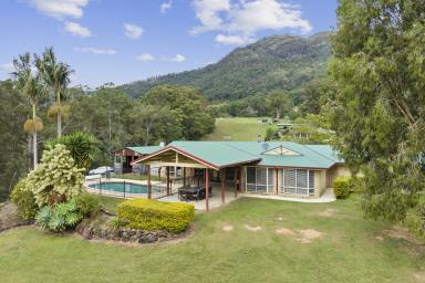 Farm For Sale - NSW - Eungella - 2484 - Lifestyle Home on 10 Acres* - Reliable Water and North Facing Views - Tweed Valley  (Image 2)