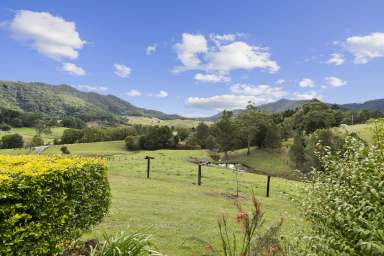 Farm For Sale - NSW - Eungella - 2484 - Lifestyle Home on 10 Acres* - Reliable Water and North Facing Views - Tweed Valley  (Image 2)