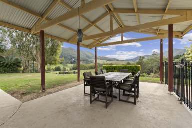 Farm For Sale - NSW - Eungella - 2484 - Lifestyle Home on 10 Acres* - Reliable Water and North Facing Views - Tweed Valley  (Image 2)