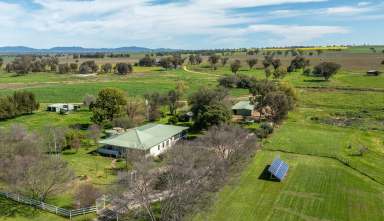 Farm For Sale - NSW - Attunga - 2345 - PRODUCTION AND LIFESTYLE WITH ITS OWN REGISTERED AIRSTRIP!  (Image 2)