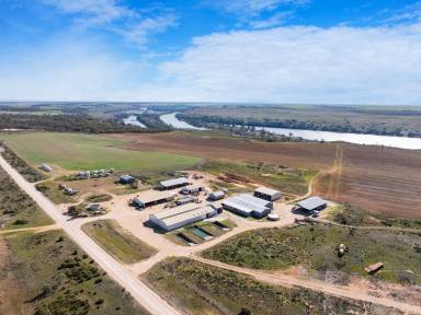 Farm For Sale - SA - Caurnamont - 5238 - Caurnamont Farms  (Image 2)