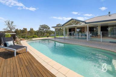 Farm For Sale - NSW - Singleton - 2330 - Family Lifestyle Retreat  (Image 2)