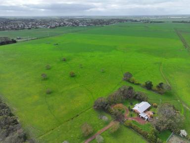 Farm For Sale - VIC - Mortlake - 3272 - PRIME LIVESTOCK BREEDING & WIND ENERGY ENTERPRISE  (Image 2)