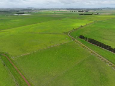 Farm For Sale - VIC - Mortlake - 3272 - PRIME LIVESTOCK BREEDING & WIND ENERGY ENTERPRISE  (Image 2)