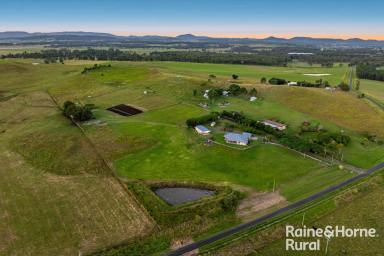 Farm For Sale - NSW - Casino - 2470 - Experience Your Dream Hobby Farm  (Image 2)