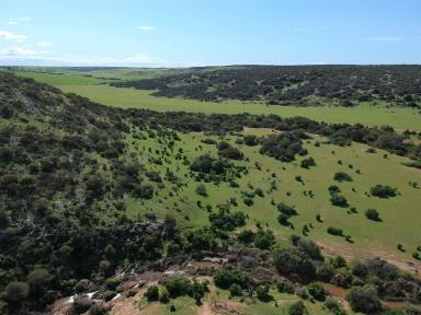 Farm For Sale - WA - Bowes - 6535 - Coastal Paradise in the Midwest of Western Australia  (Image 2)