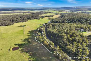 Farm For Sale - VIC - Won Wron - 3971 - Vendor open to Offers  (Image 2)