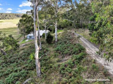 Farm For Sale - VIC - Won Wron - 3971 - Price Adjustment - Rural Living on 3.2 Acres  (Image 2)