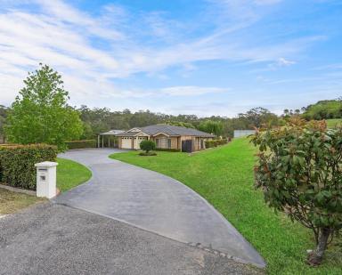 Farm Auction - NSW - Dungog - 2420 - Acreage Living At Its Absolute Finest  (Image 2)