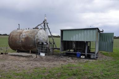 Farm For Sale - SA - Tintinara - 5266 - Outstanding Dairy - Massive Water License  (Image 2)