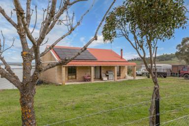 Farm Auction - NSW - Yarras - 2795 - "Greenlea" - Unlimited Potential!  (Image 2)