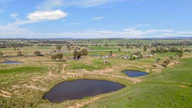 Farm Auction - NSW - Yarras - 2795 - "Greenlea" - Unlimited Potential!  (Image 2)