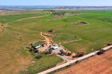 Farm For Sale - SA - Australia Plains - 5374 - The Great Australian Dream  (Image 2)