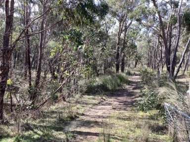 Farm Sold - VIC - Dereel - 3352 - 16.75Ha (Approx. 41.38Ac); Rugged, Bush Block; No Services; RCZ  (Image 2)