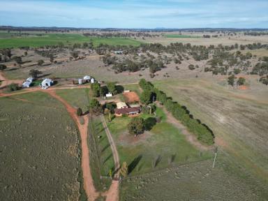 Farm For Sale - NSW - West Wyalong - 2671 - Prime Cropping & Grazing  (Image 2)