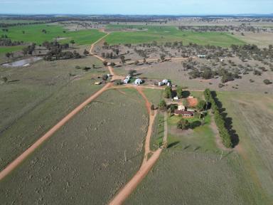 Farm For Sale - NSW - West Wyalong - 2671 - Prime Cropping & Grazing  (Image 2)