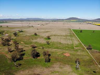 Farm For Sale - NSW - Gunnedah - 2380 - HIGH CARRYING CAPACITY, PASTURE IMPROVED HOLDING, CLOSE TO TOWN  (Image 2)