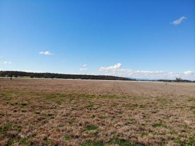 Farm For Sale - NSW - Gunnedah - 2380 - HIGH CARRYING CAPACITY, PASTURE IMPROVED HOLDING, CLOSE TO TOWN  (Image 2)