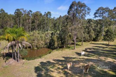 Farm For Sale - QLD - Bauple - 4650 - LOVE THE COUNTRY? THEN YOU WILL LOVE THIS PLACE!  (Image 2)